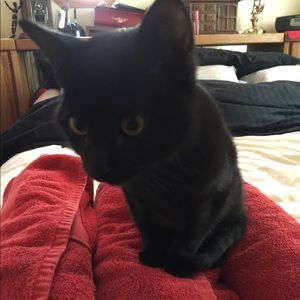 Meet your Posher, Alex